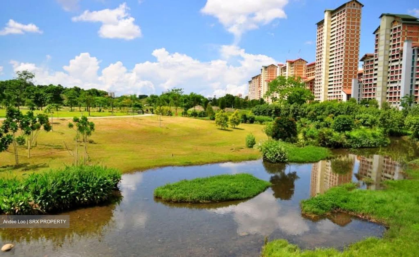 Blk 455 Sin Ming Avenue (Bishan), HDB 4 Rooms #569715581